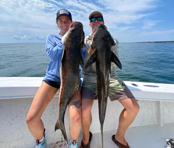 Epic battles, epic Cobia fish in Chesapeake Bay